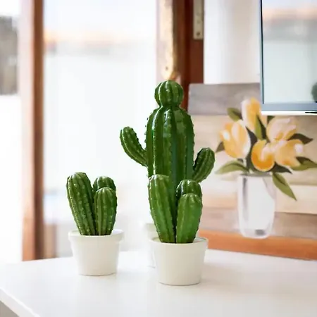 Apartamento La Dolce Playa del Inglés